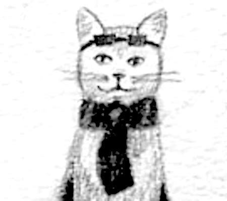 Cat | Jenny Everywhere Wiki | Fandom