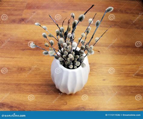 Pussy Willow Branches In A Vase Stock Photo Image Of Beautiful Branches
