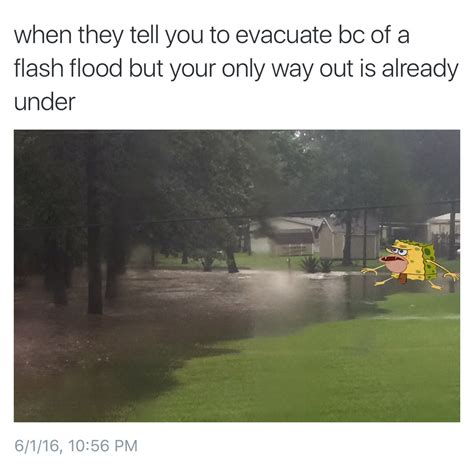 The Best Flood Memes Memedroid