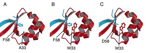 Dimerization Interface Models of Wild Type | Download Scientific Diagram