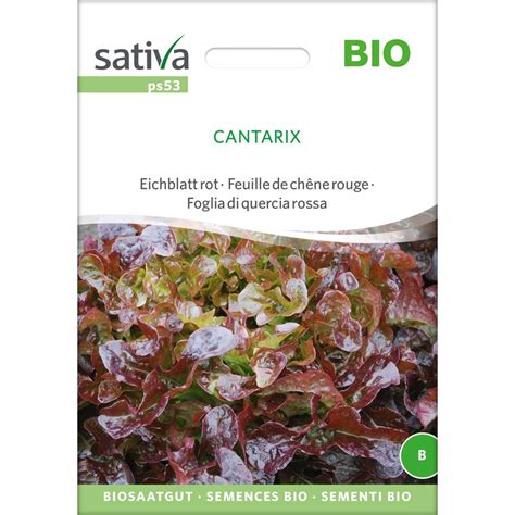 Sativa Feuille De Ch Ne Rouge Bio Cantarix Sachet Bloomling France