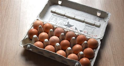 pasteurized eggs  unpasteurized whats  difference