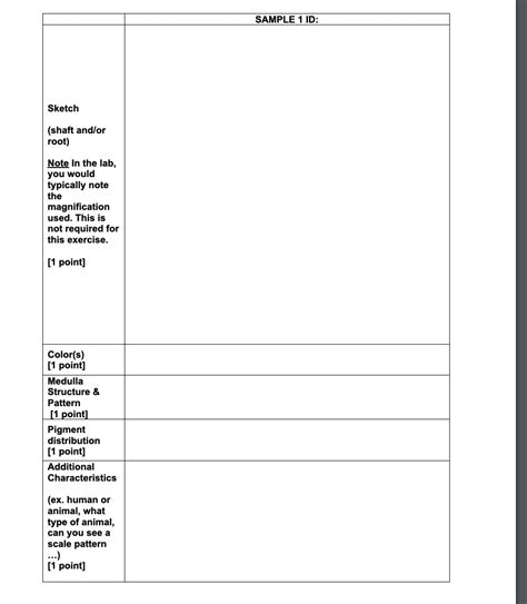 Solved Begin Tabular L L Hline Sample Id Chegg