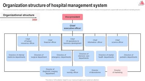 Organization Structure Of Hospital Implementing Hospital Management