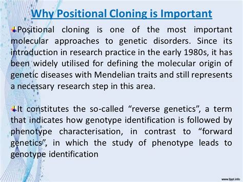 Positional Cloning And Its Uses In Mapping Represented By Sumi Choudhury Ppt Download