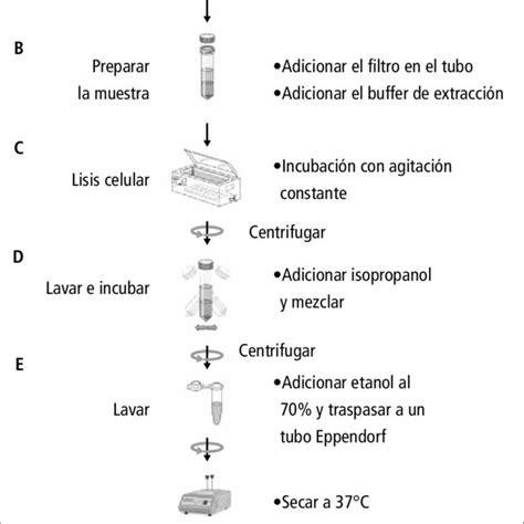 Procedimiento De Extracción De Adn A Partir De Una Muestra De Agua