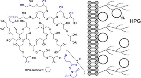 Pictorial Representation Of The Covalent Modification Of The Cell Download Scientific Diagram