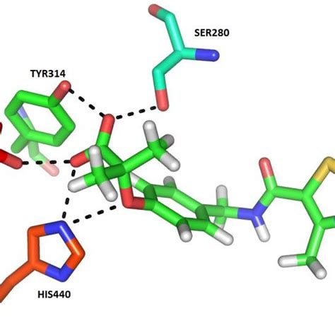 The Ligand Binding Pockets Of The Ppar α Subtypes Pdb Id1k7l 13 Download Scientific Diagram