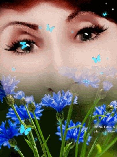 Всё васельки, васельки...