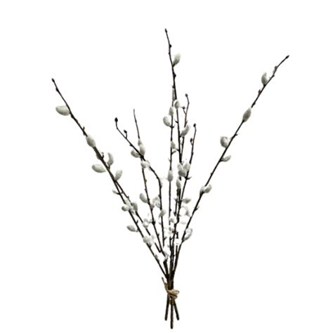 Pussy Willow Bundle Kind Decor