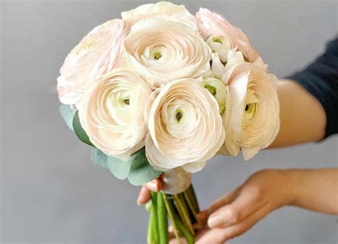 БУКЕТ из лютиков (ранункулюс)