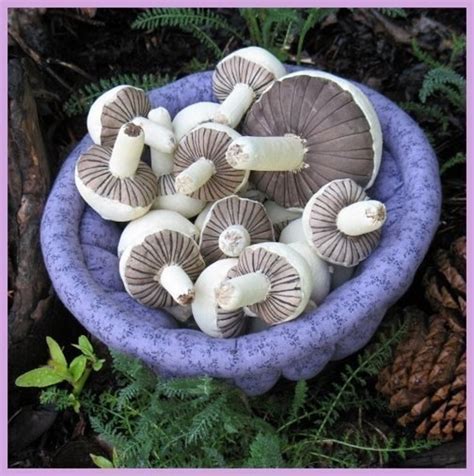 Mushroom Sewing Pattern Mushrooms Sewing Pattern Primitive
