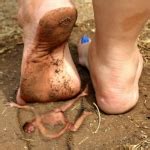 Evangeline Von Winter Porn Videos Verified Pornstar Profile Pornhub