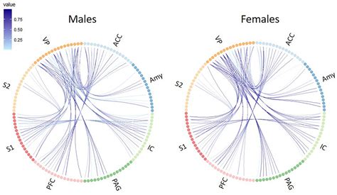 Frontiers Diffusion Tensor Imaging Reveals Sex Differences In Pain