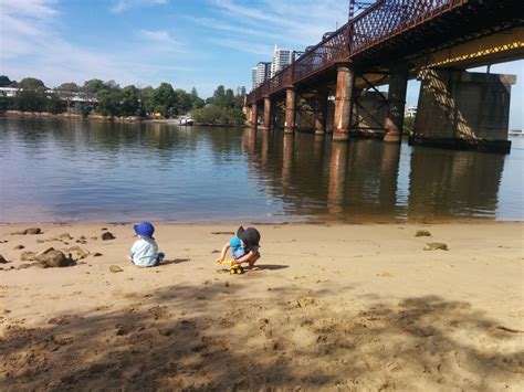 Where to find the parramatta rivercat service timetable 29