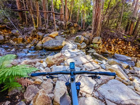 mountain bike trails  australia arix travel