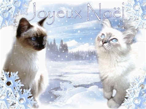 Joyeux Noël Fond Décran Animé