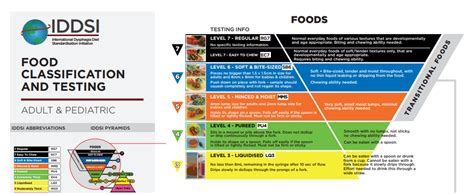 Dysphagia Diet Levels