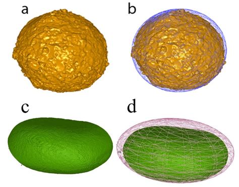 view   oolite   lavoux limestone