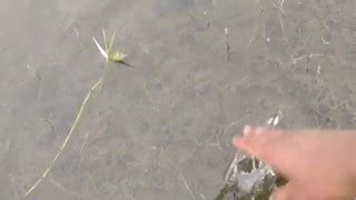 Tamil Audio Free Mobile Porn Xxx Sex Videos And Porno Movies Iporntv Net