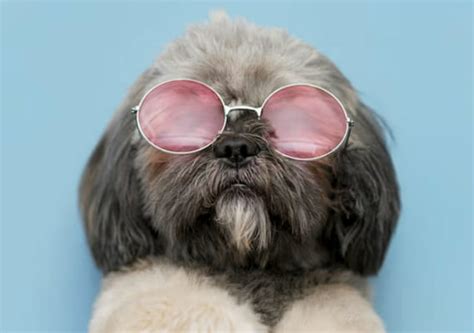 Are U Hot Cute Or Pretty Quiz Quotev