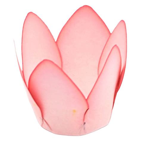 Forminha Para Doces Finos Monaco Nude Claro Mate Unidades Decora Doces Rizzo