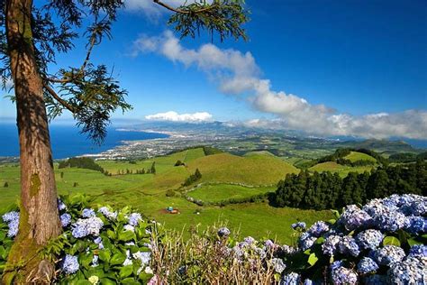 Cruising The Canaries And Azores Tips For Visiting The Islands Capitals