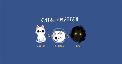Cats Matter Funny Science Kitty Physics Cat Science Cat T Shirt