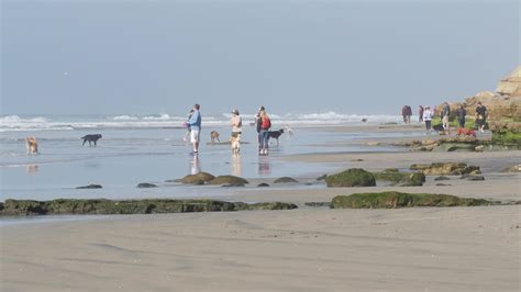 13 Best San Diego Beaches In 2024 With Map San Diego Travel Secrets