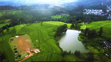 Munnar Tourist Places To Visit In Kerala