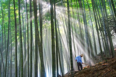 福建林改20年山川巨变：青山变金山资源变资产福建新闻新闻频道福州新闻网