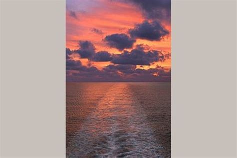 Sunset Shell Giclee For Sale Cottage And Bungalow