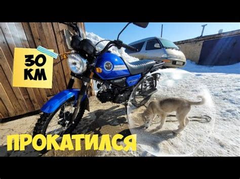 МОПЕД АЛЬФА "КОЛЬТ" прохват и немного дачи. - YouTube
