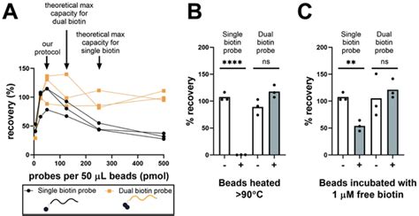 DNA hybridization | PLOS ONE