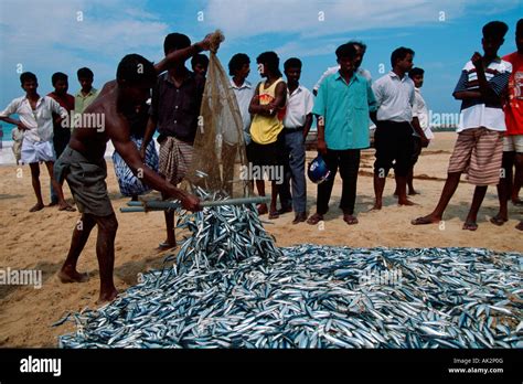 Fisher man Stock Photo - Alamy
