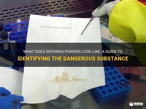 What Does Anthrax Powder Look Like A Guide To Identifying The