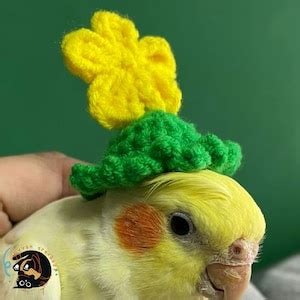 Crochet Hat for Parrot or Bird, Crochet Frog Hat, Crochet Rabbit Hat ...