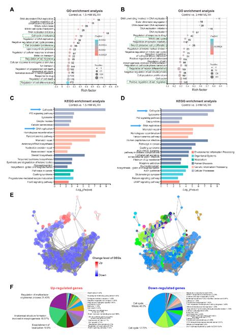 Figure From Methamphetamine Exposure Drives Cell Cycle Exit And