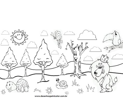 Animais Na Floresta Para Colorir - DESENHO DE FLORESTA , ANIMAIS DIVERSOS NA FLORESTA PARA COLORIR DESENHO ...