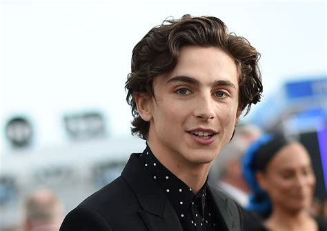 Who Does Timothée Chalamet Play In 'Little Women'?