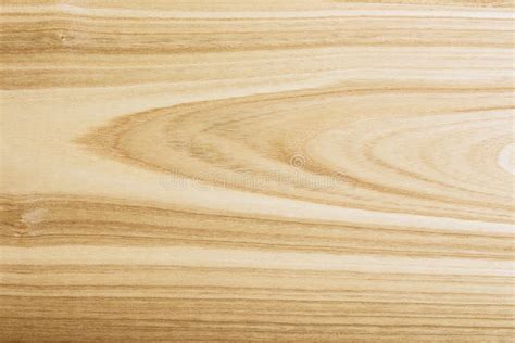 Ash Wood Texture The Background Of The Wood Of Hardwood Stock Image