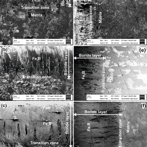 Sem Microstructures Of Borided Samples A Hardox 450 800 ∘ C B Download Scientific Diagram