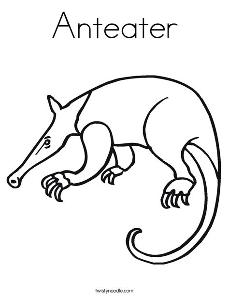 Anteater Coloring Page Twisty Noodle