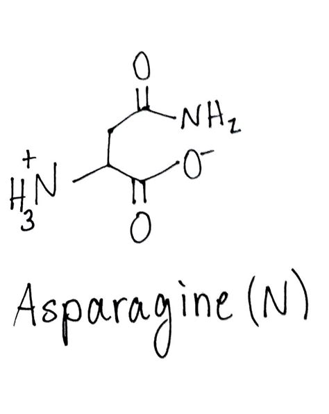 How To Draw A Peptide Chain Draw Easy