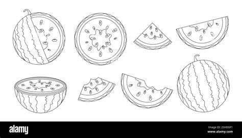 watermelon outline drawing clipart set watermelon icon black lines