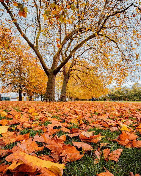 The Best Places to Experience Autumn in London - #travelcolorfully