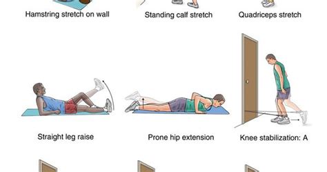 Osgood Schlatter Disease Rehabilitation Exercises Also Known As