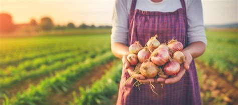 Premium Ai Image Closeup Of A Woman S Hands Gently Holding Ripe