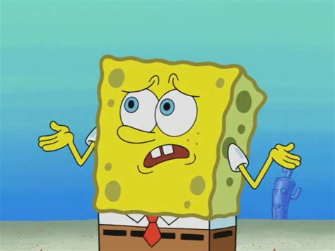 SpongeBuddy Mania SpongeBob Episode Keep Bikini Bottom Beautiful