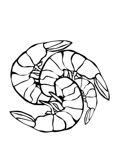 Shrimp Boat Drawing At Getdrawings Free Download